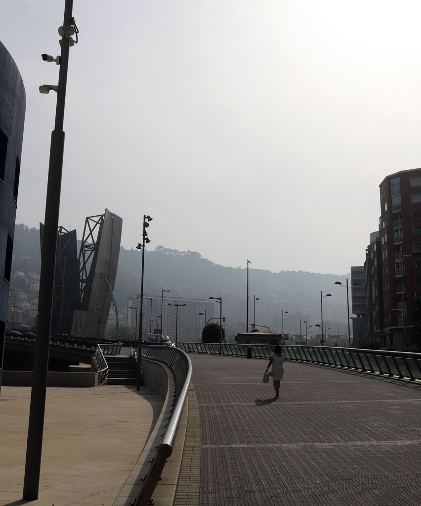 Crossing Bridge Guggenheim