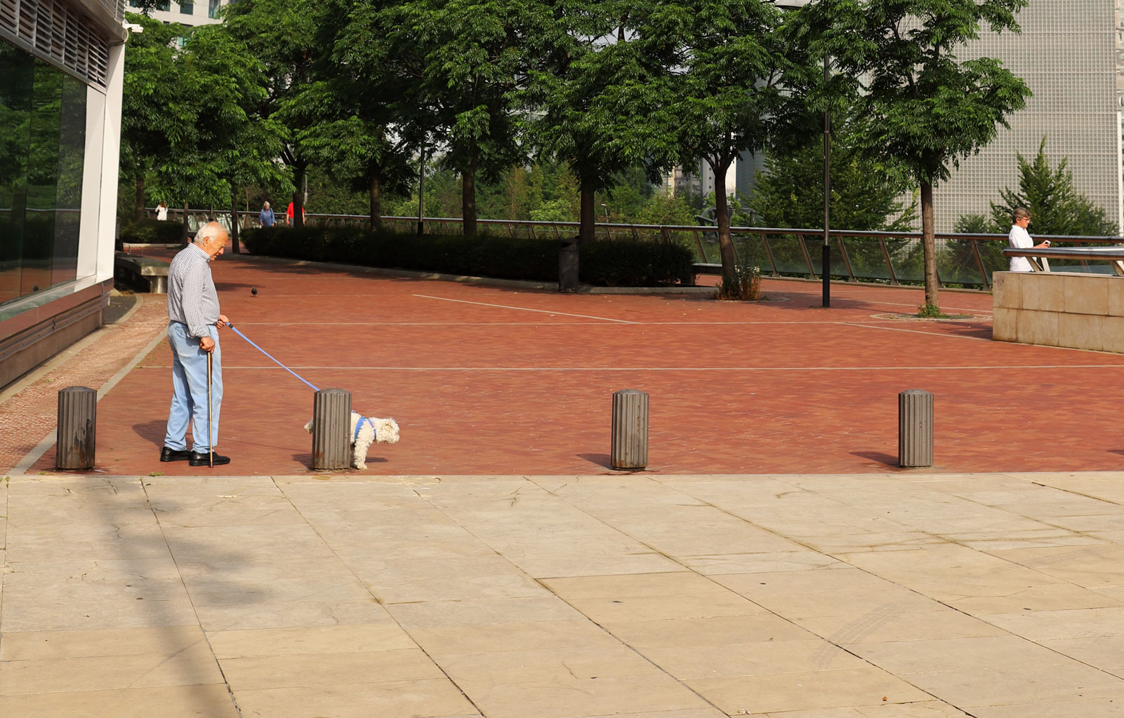 Puppy by Jeff Koons (or in front of it, with a n old guy walking a real dog)
