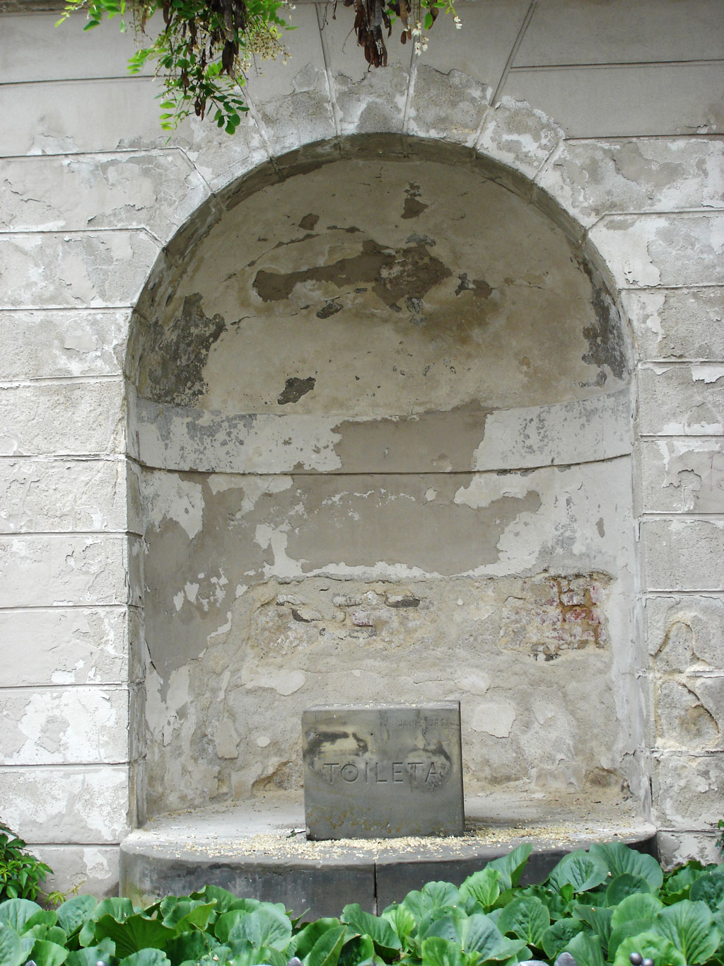 Toileta