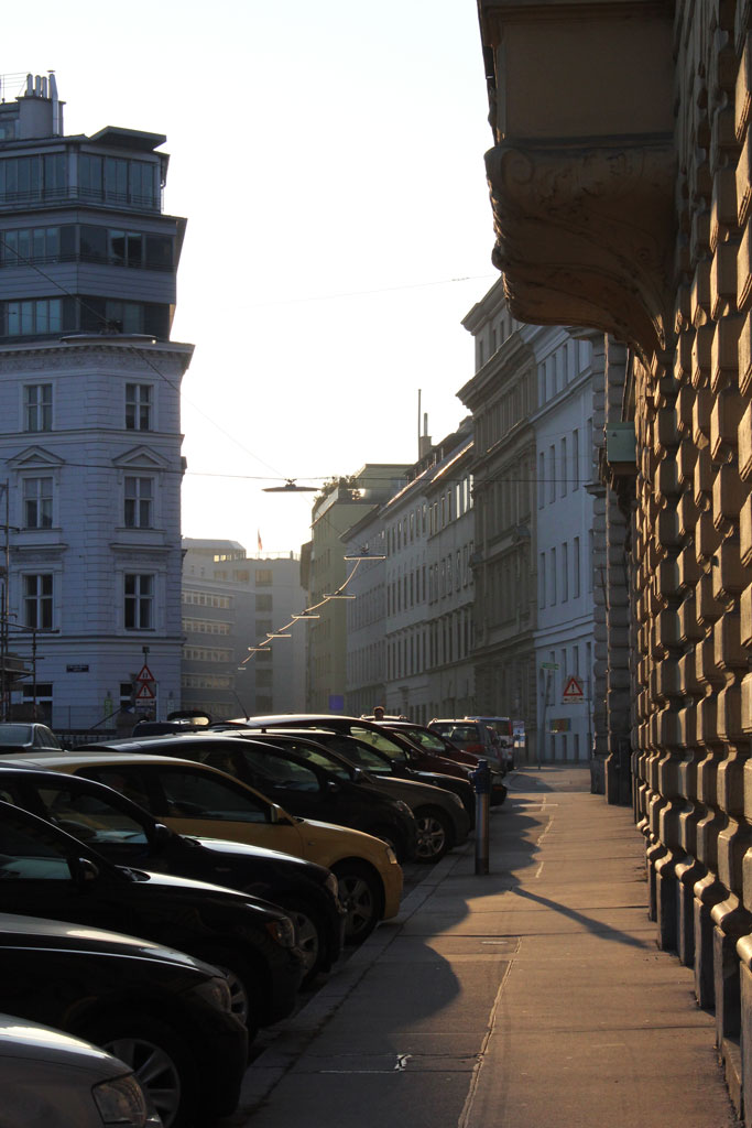 Afternoon sun